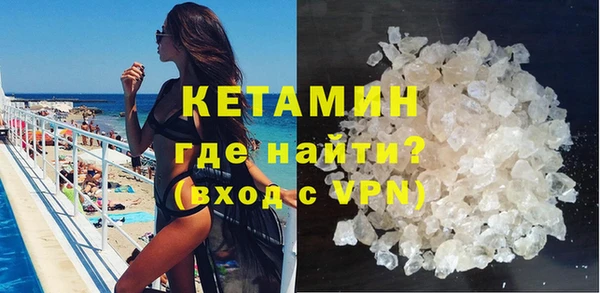 шишки Корсаков