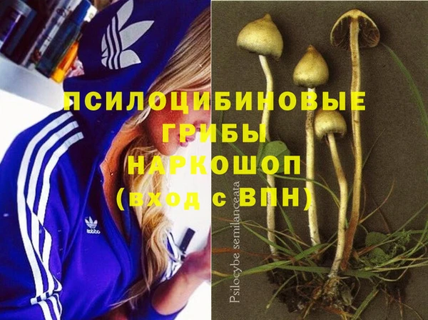 кокс Лагань