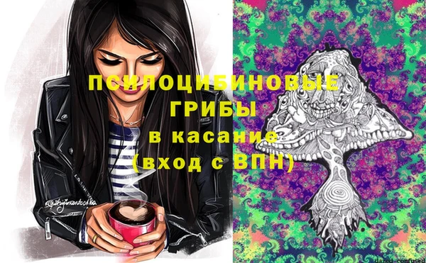 метадон Ладушкин