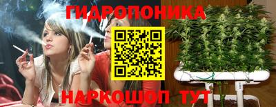 дурь Будённовск