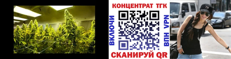 цена   Губкин  ТГК THC oil 