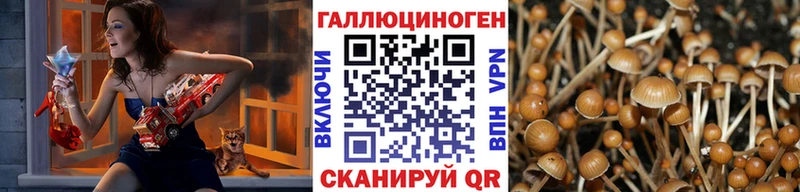 Псилоцибиновые грибы Psilocybine cubensis  Губкин 