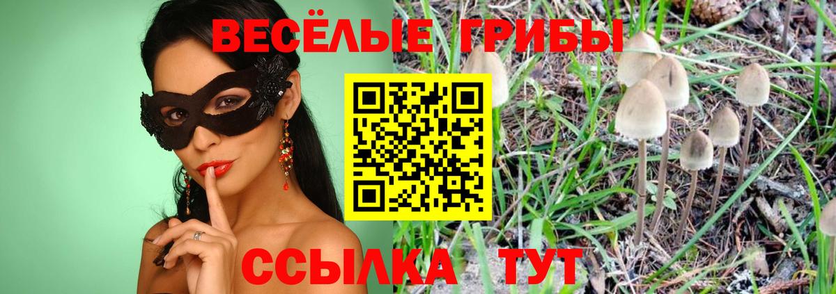 Псилоцибиновые грибы MAGIC MUSHROOMS Губкин